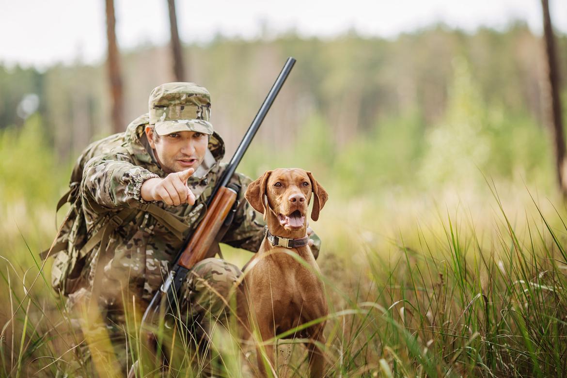 Chasse