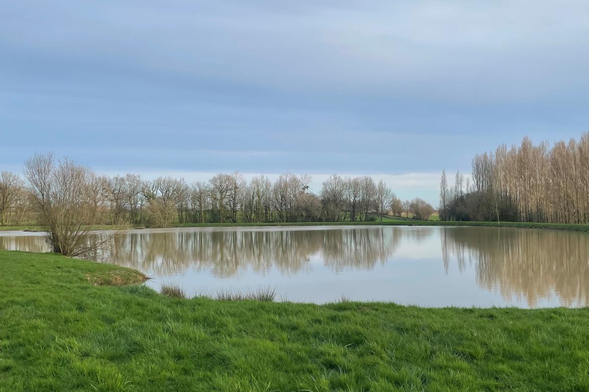 Le plan d'eau de Thouarsais-Bouildroux