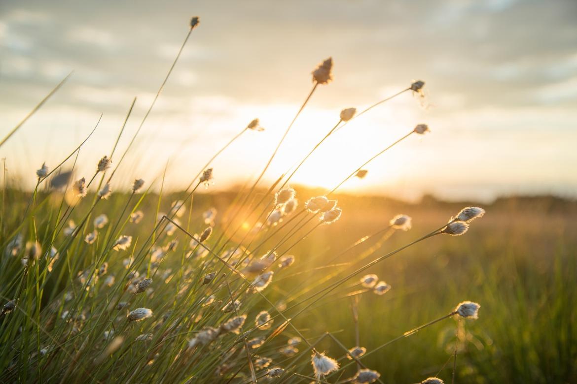 Culture et environnement