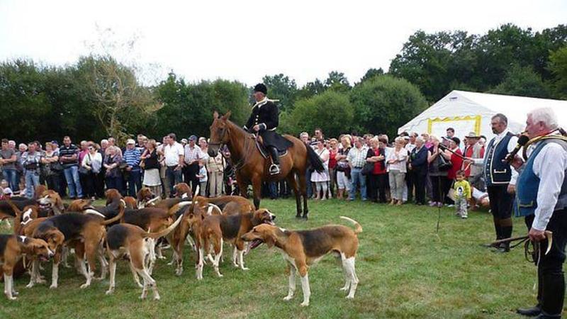 Fête de la chasse