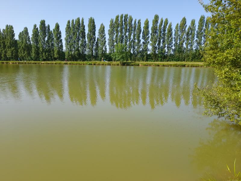 Ouverture de la pêche au plan d'eau de…