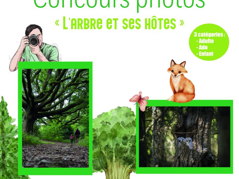 Concours photos