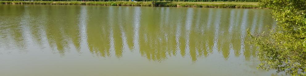 Ouverture de la pêche au plan d'eau de…